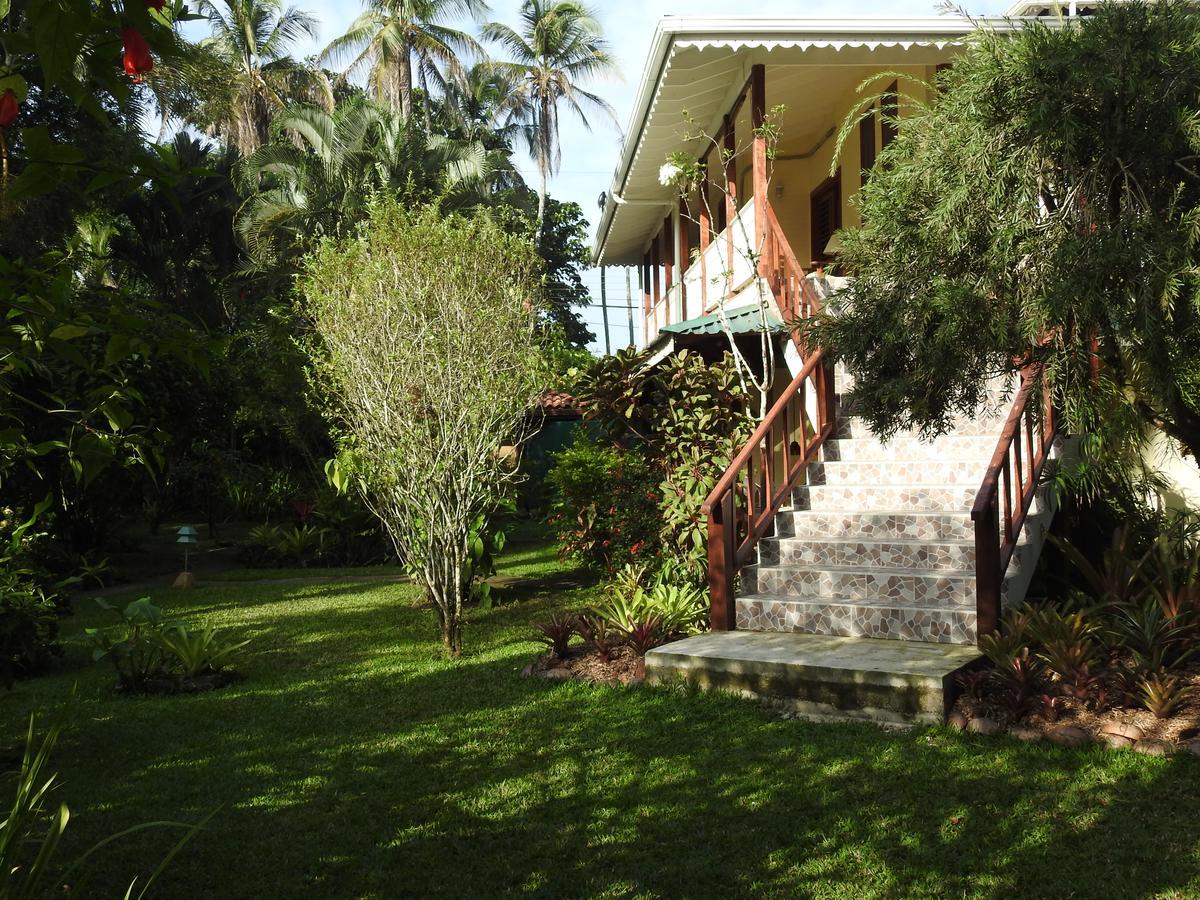 Playa Negra Guesthouse Cahuita Ngoại thất bức ảnh