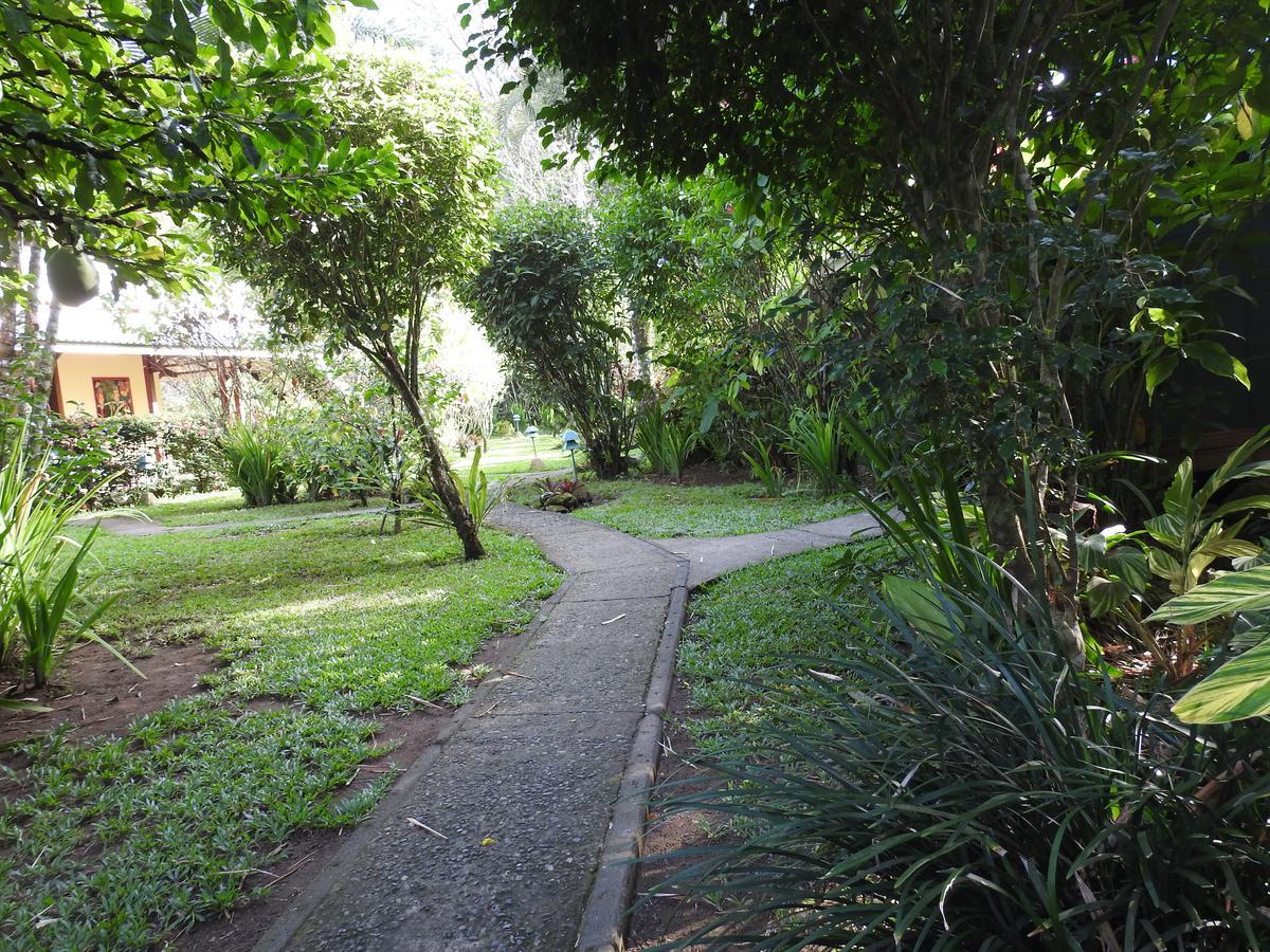 Playa Negra Guesthouse Cahuita Ngoại thất bức ảnh