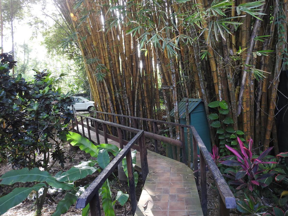 Playa Negra Guesthouse Cahuita Ngoại thất bức ảnh