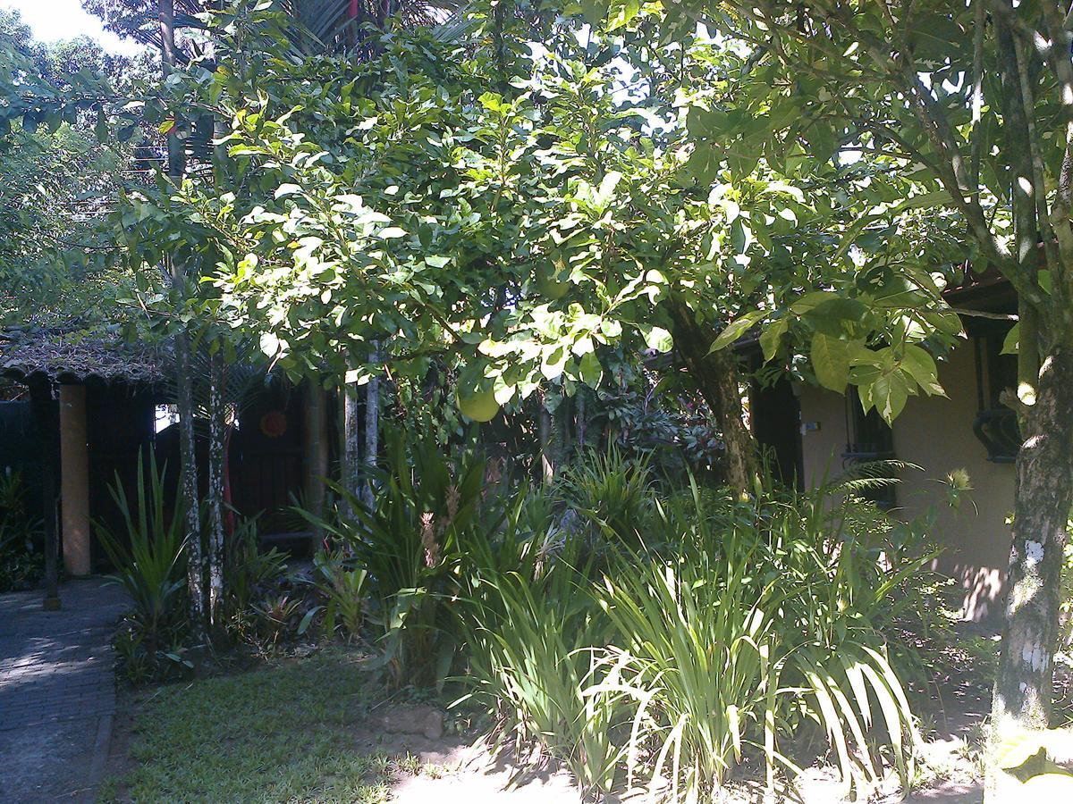 Playa Negra Guesthouse Cahuita Ngoại thất bức ảnh