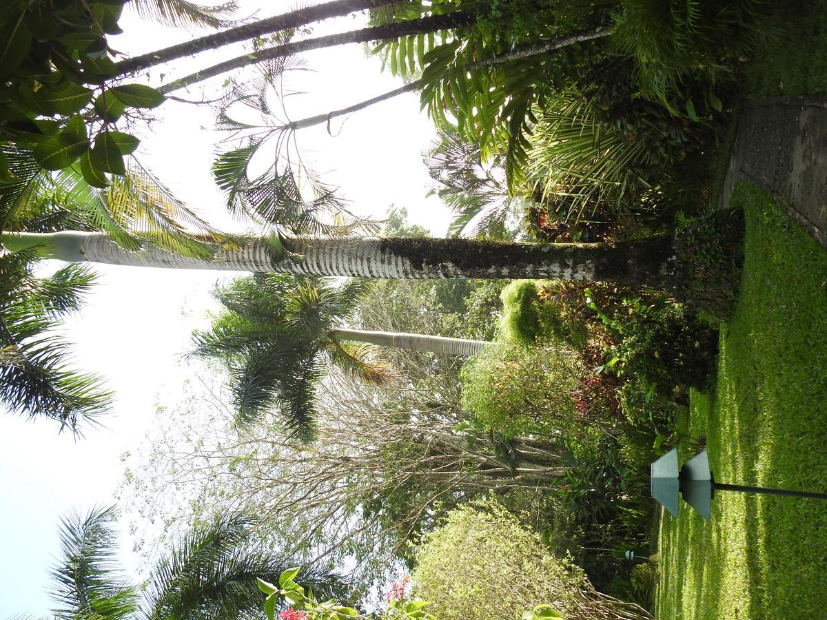 Playa Negra Guesthouse Cahuita Ngoại thất bức ảnh