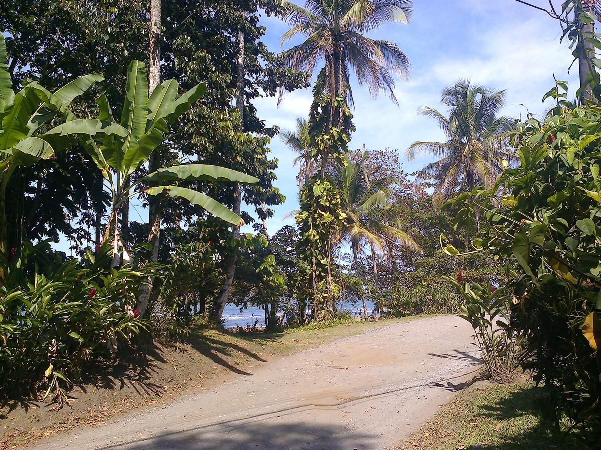 Playa Negra Guesthouse Cahuita Ngoại thất bức ảnh