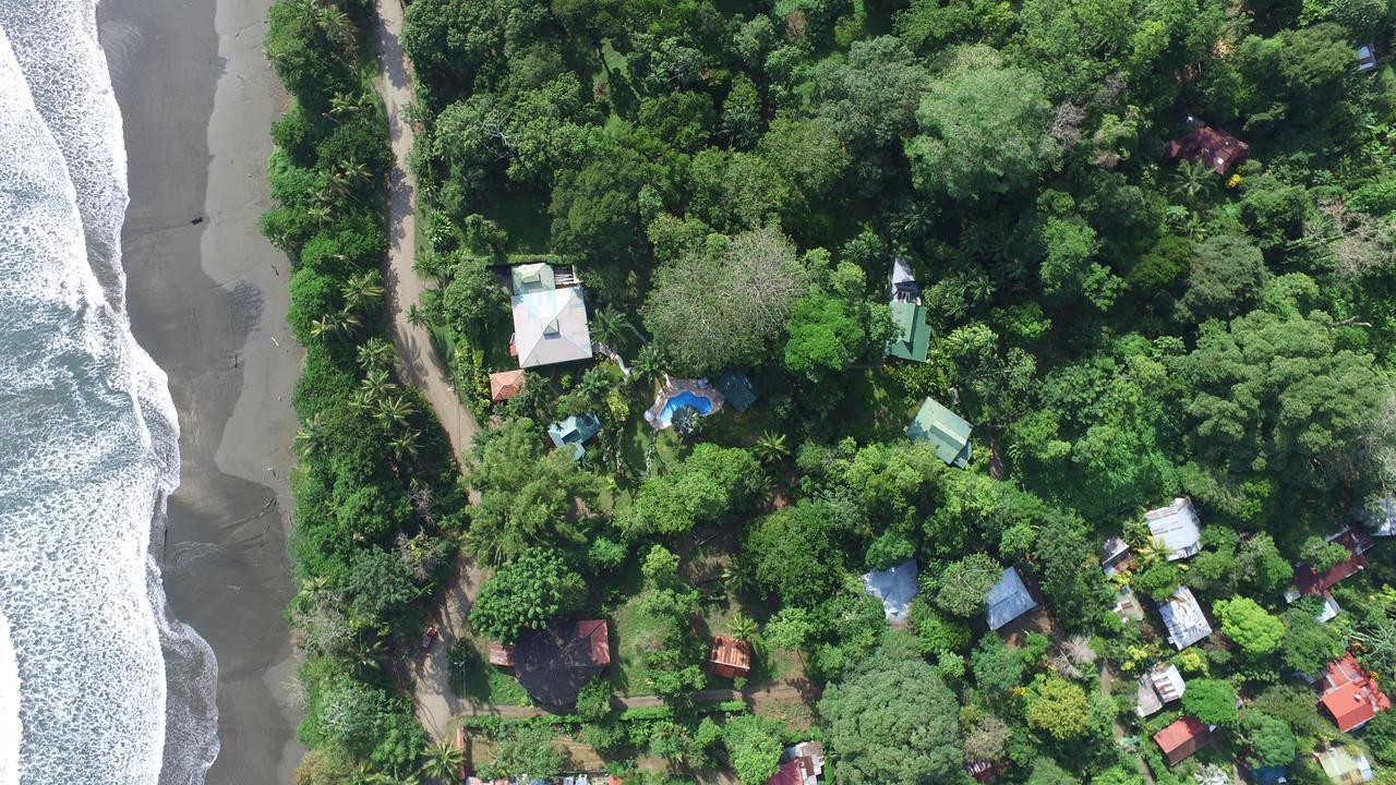 Playa Negra Guesthouse Cahuita Ngoại thất bức ảnh